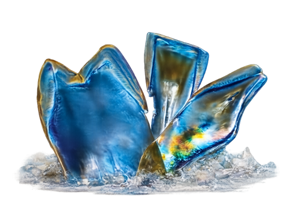 Wagner Precision Green State Instruments for pre-sintered zirconia